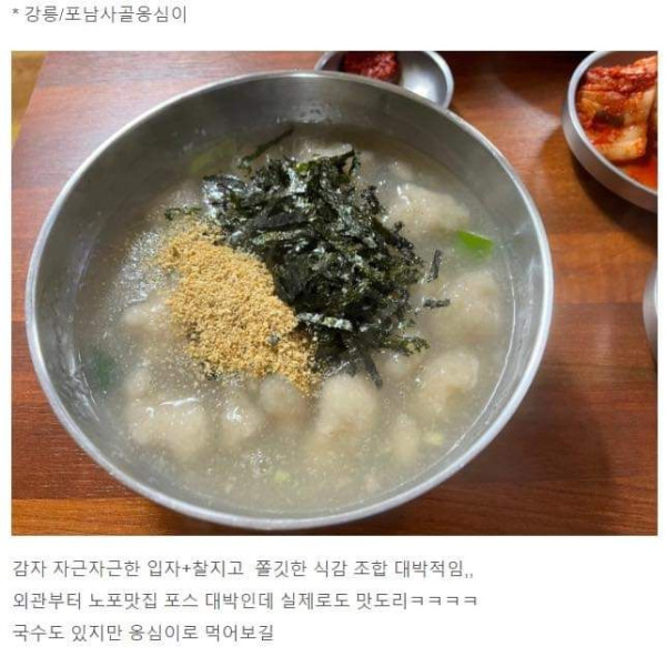 내돈내산 강원도 맛집 모음