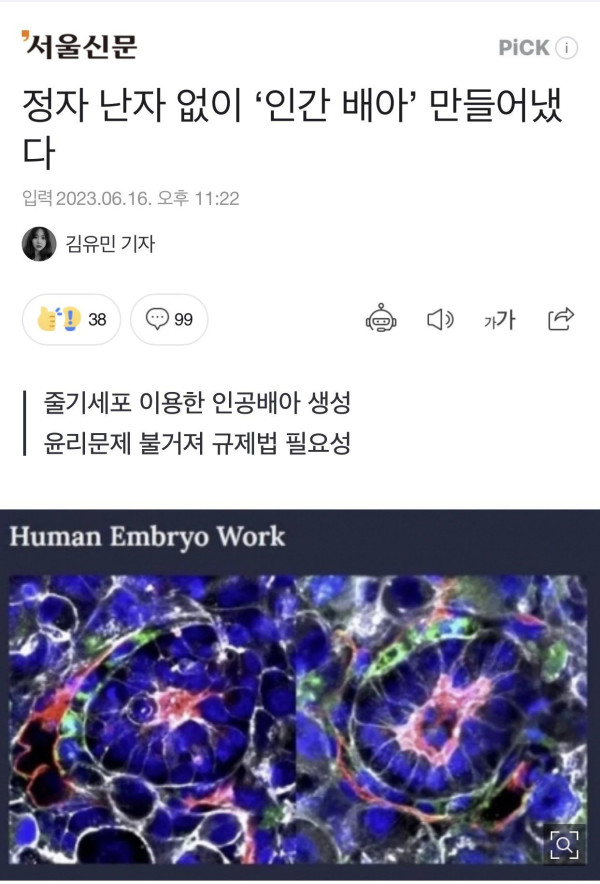 정자 난자 없이 인간 배아 탄생